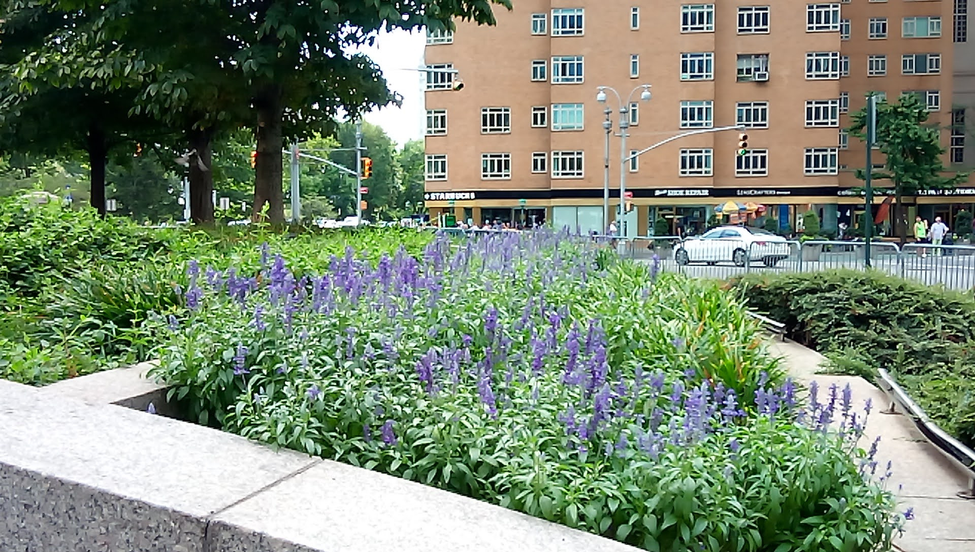 Form2555| 米国公認会計士 Saito LLP